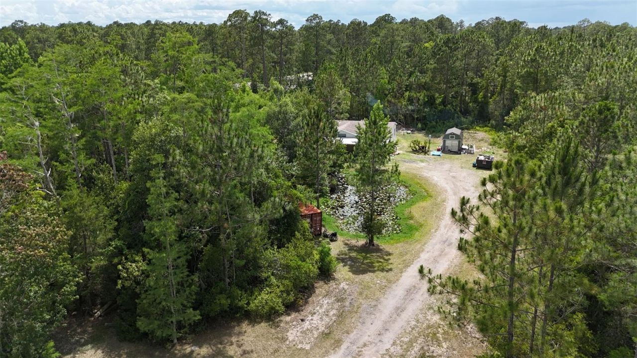 2094 Elder Street , Bunnell, FL 32110 Photo
