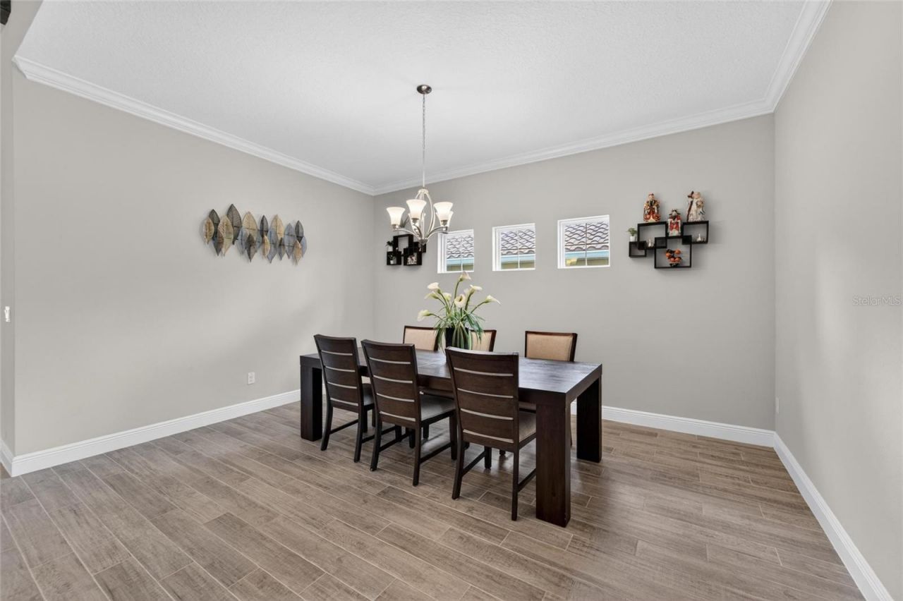 155 Sabal Breeze Court , Brandon, FL 33511 Photo