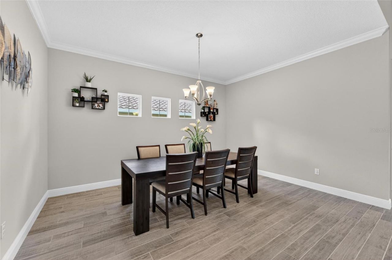 155 Sabal Breeze Court , Brandon, FL 33511 Photo