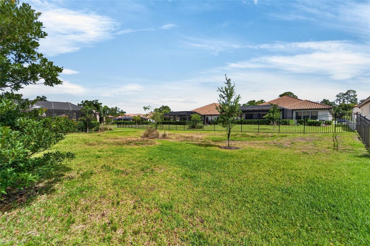 155 Sabal Breeze Court , Brandon, FL 33511 Photo