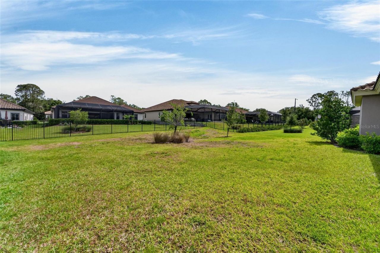 155 Sabal Breeze Court , Brandon, FL 33511 Photo