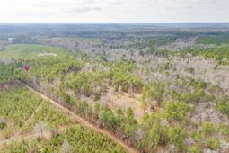 122 F & G Lonesome Pine Trail  photo 4