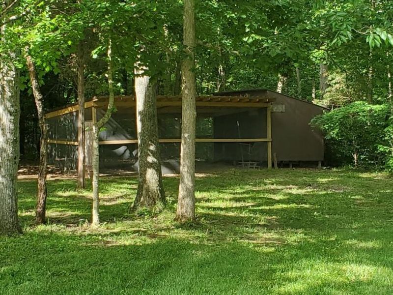 5525 Brushy Fork Road, Stonelick Twp, OH 45103 Photo 11