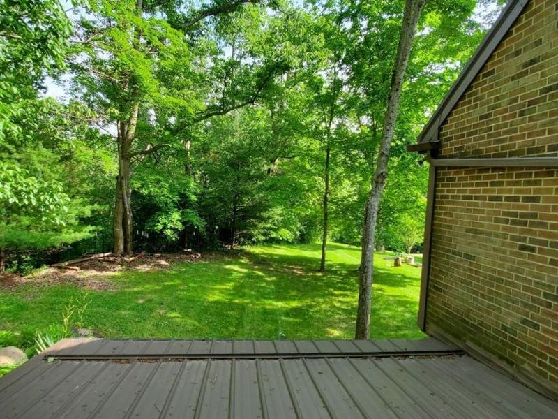 5525 Brushy Fork Road, Stonelick Twp, OH 45103 Photo 14