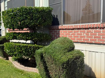 67 Bouganvillea, Sacramento, CA 95828 Photo