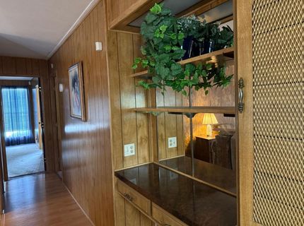 67 Bouganvillea, Sacramento, CA 95828 Photo