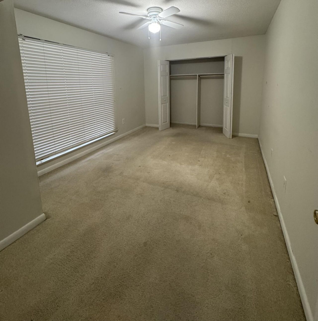 870 Colony Drive Photo 11
