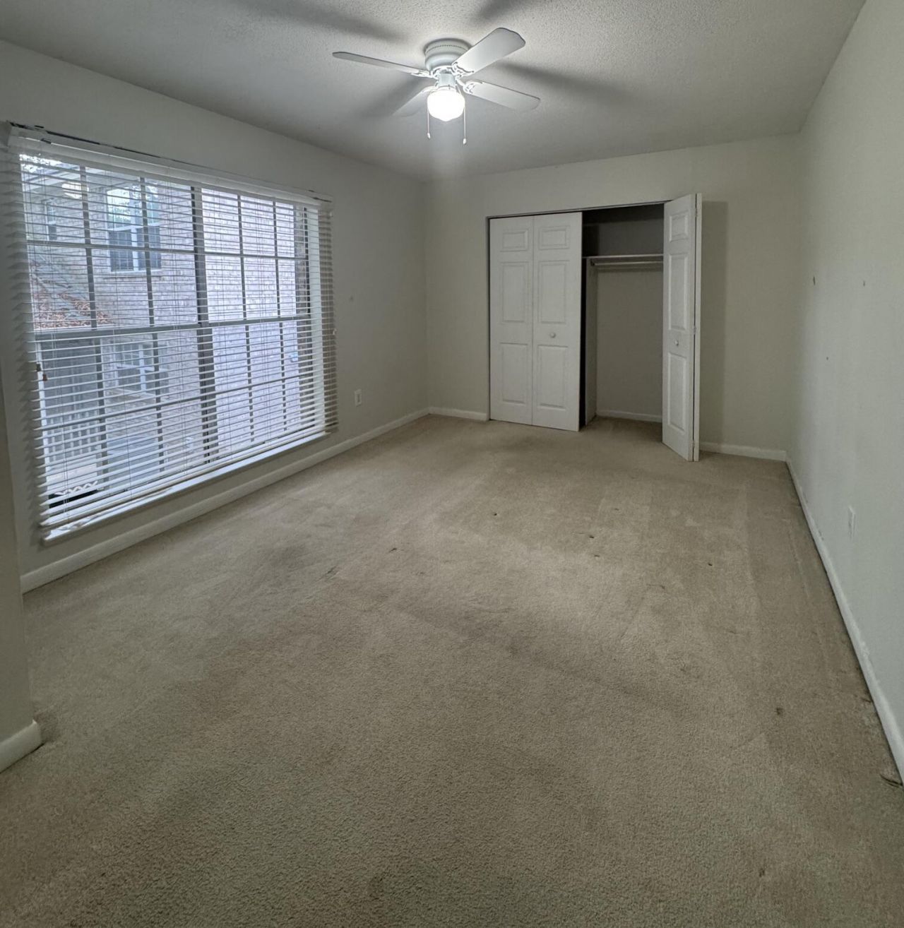 870 Colony Drive Photo 12