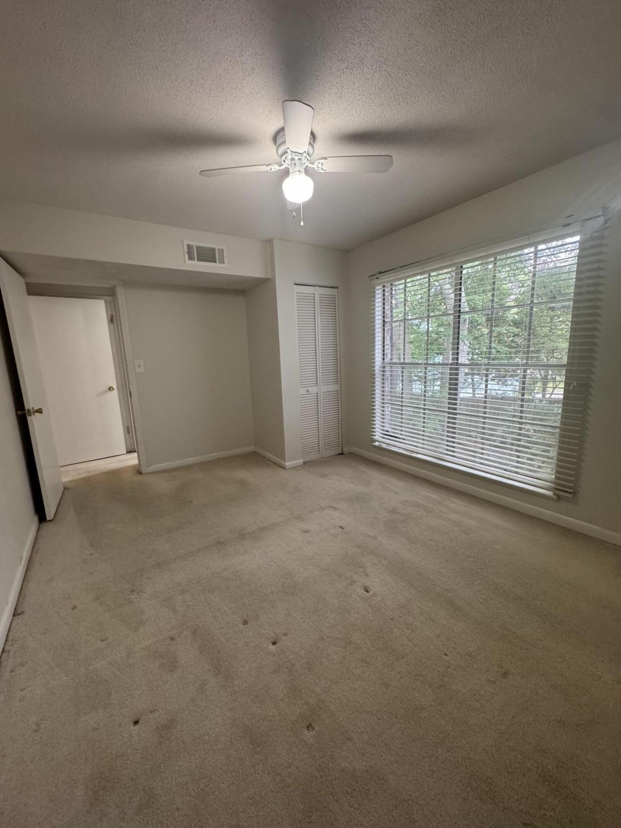 870 Colony Drive Photo 13