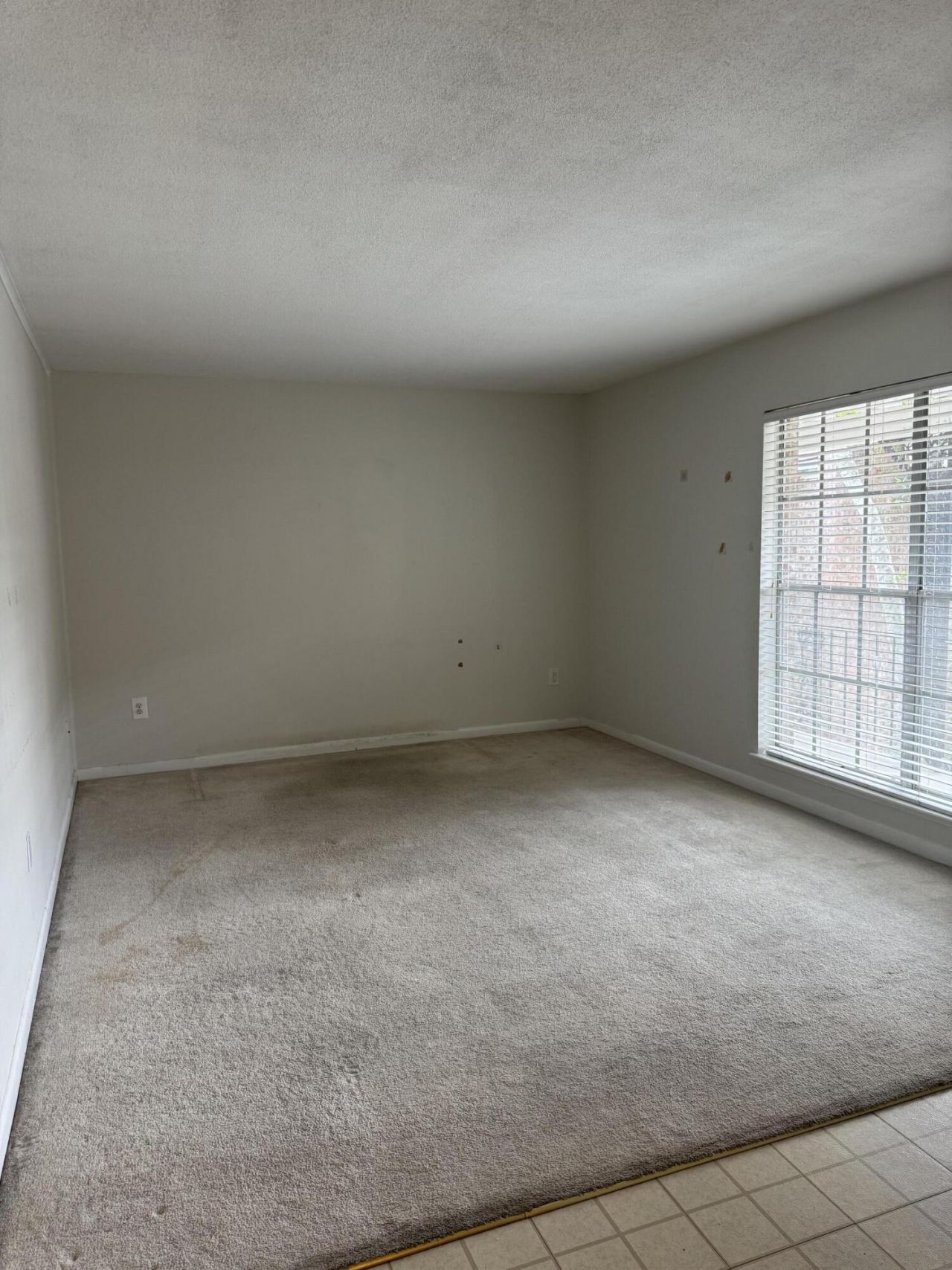 870 Colony Drive Photo 7