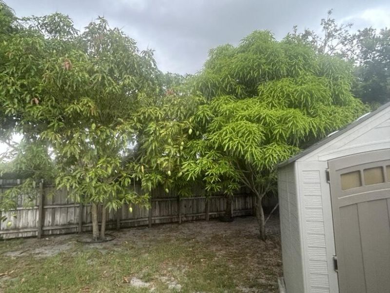 8362 NW 23rd Manor, Coral Springs, FL 33065 Photo