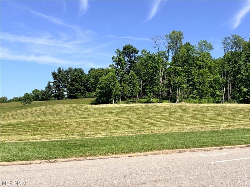 Banks Avenue, Loudonville, OH 44842 Photo 5