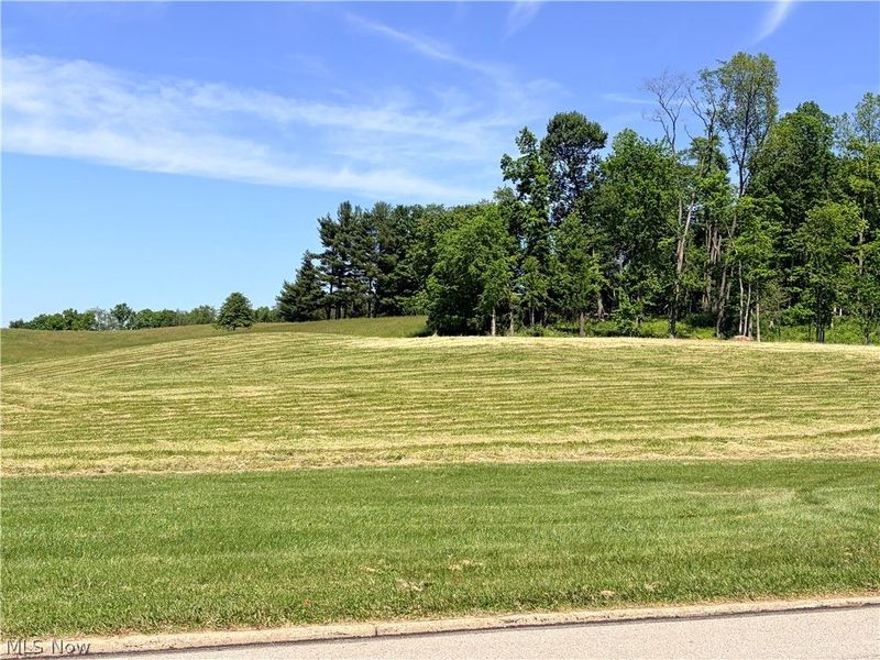 Banks Avenue, Loudonville, OH 44842 Photo 6