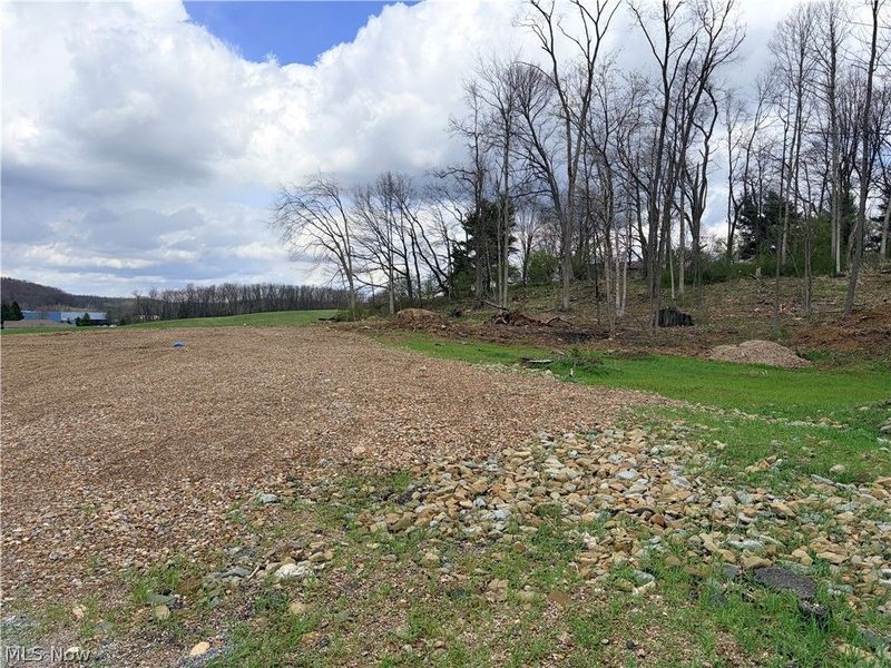 Banks Avenue, Loudonville, OH 44842 Photo 8