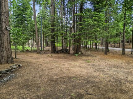 337 Kenshaw Ct, Dorrington, CA 95223 Photo