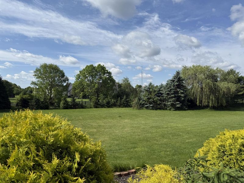 5363 Rosalind Boulevard , Powell, OH 43065 Photo 104