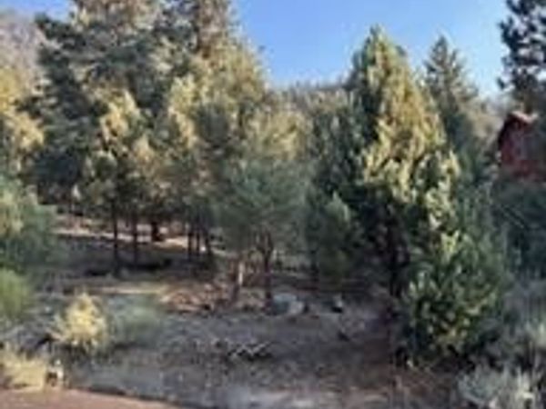 15120 acacia, Pine Mountain Club, CA 93222