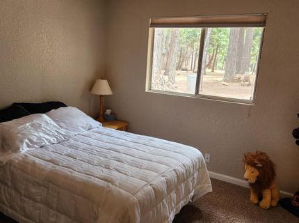 7363 Shasta Forest Drive, Shingletown, CA 96008 Photo