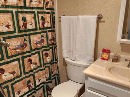 7363 Shasta Forest Drive, Shingletown, CA 96008 Photo
