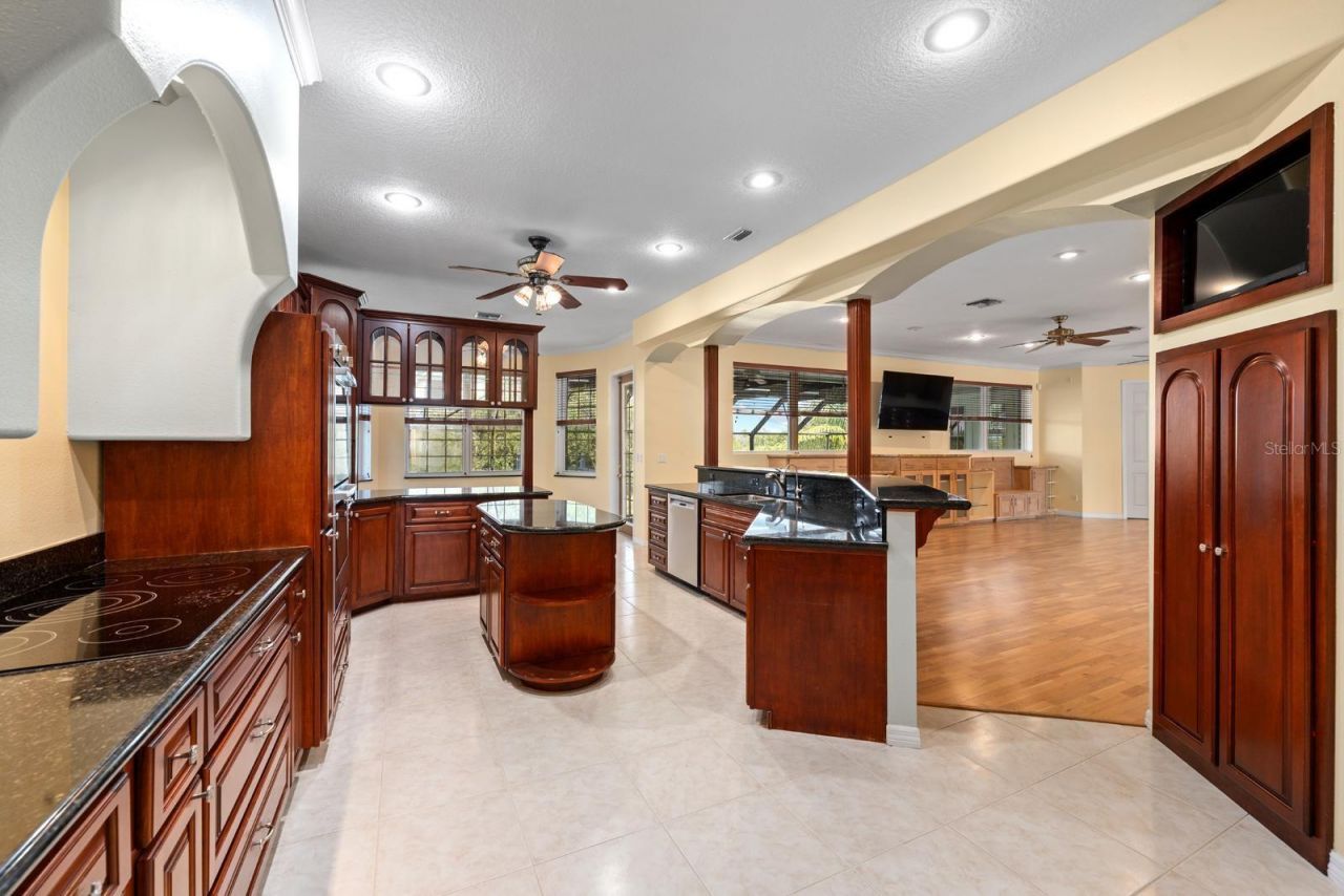 921 Point Seaside Drive, Crystal Beach, FL 34681 Photo