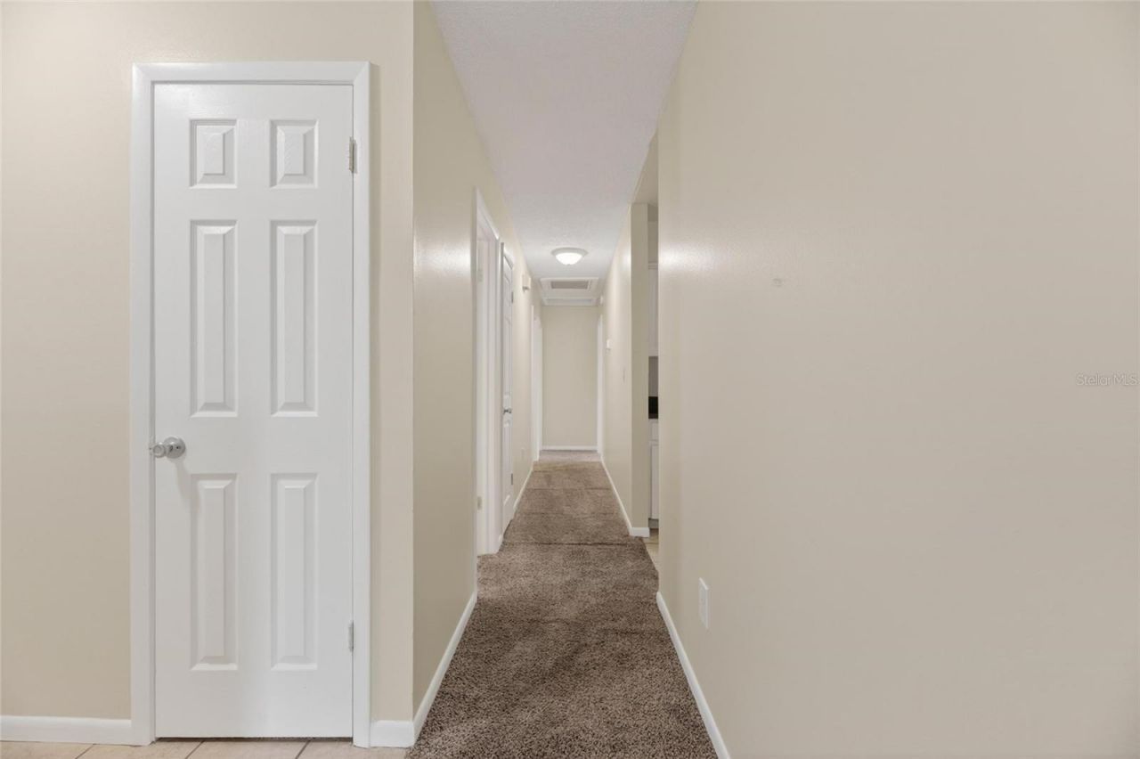 5001 Whiteway Drive , Tampa, FL 33617 Photo