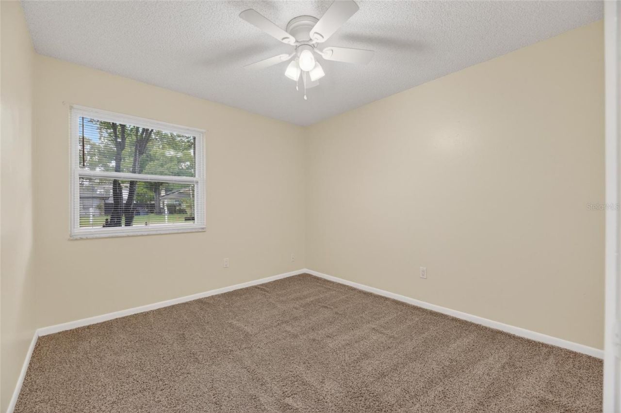 5001 Whiteway Drive , Tampa, FL 33617 Photo