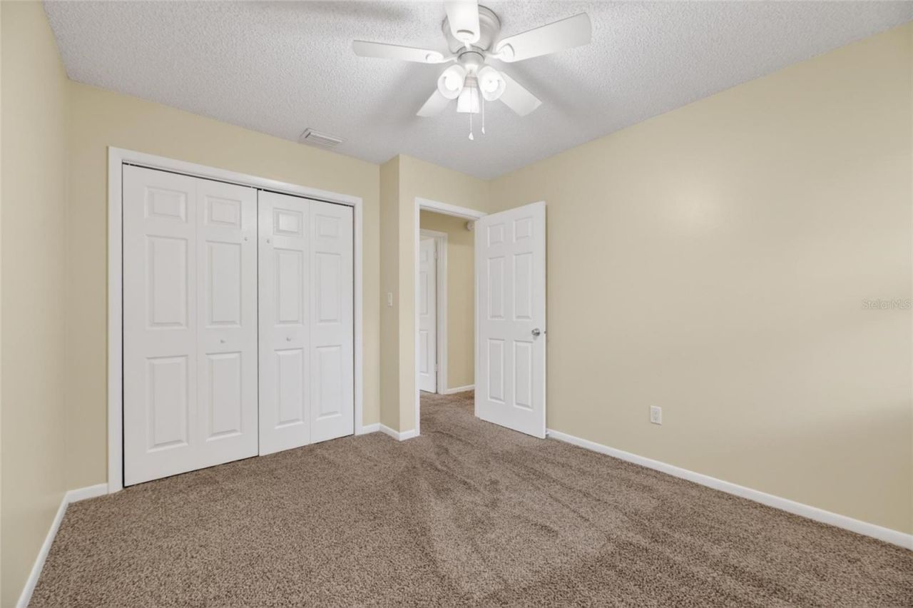 5001 Whiteway Drive , Tampa, FL 33617 Photo