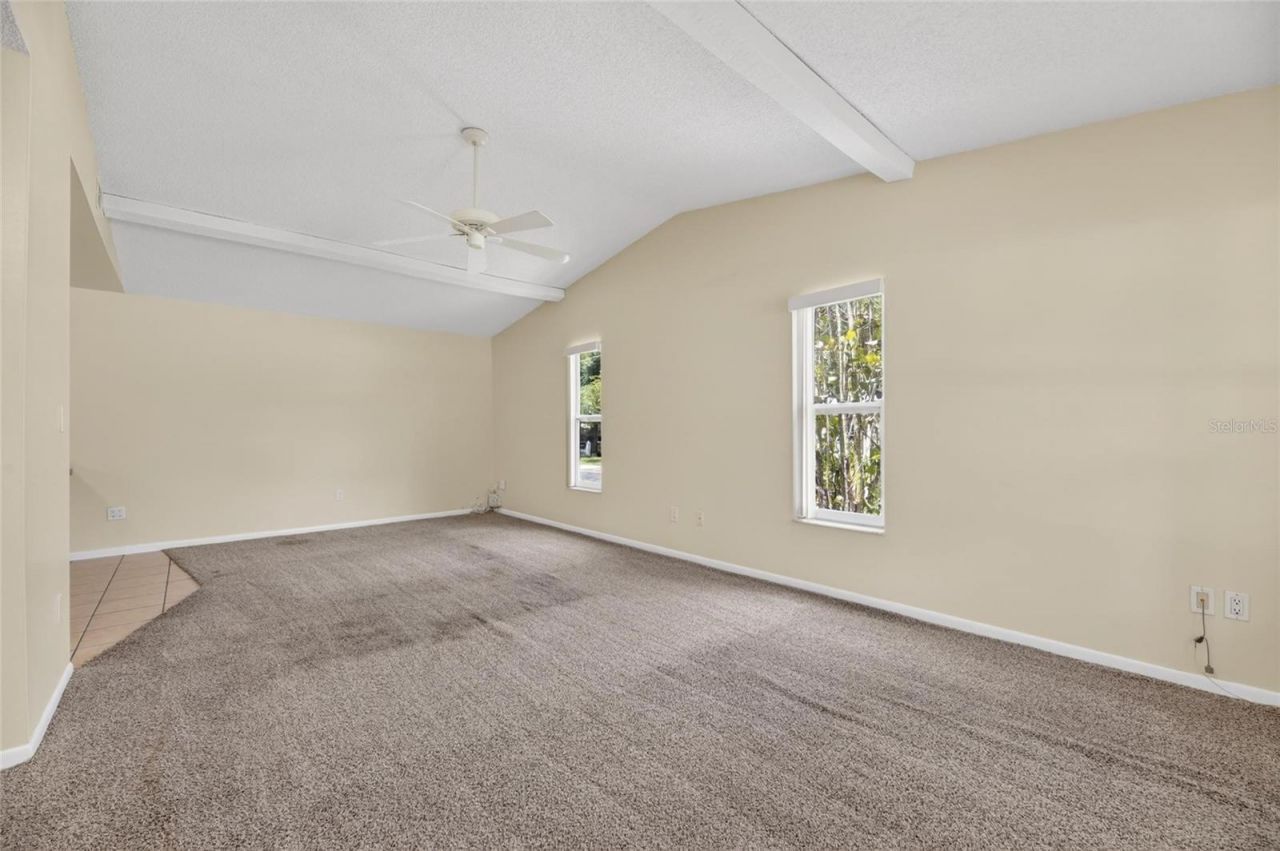5001 Whiteway Drive , Tampa, FL 33617 Photo