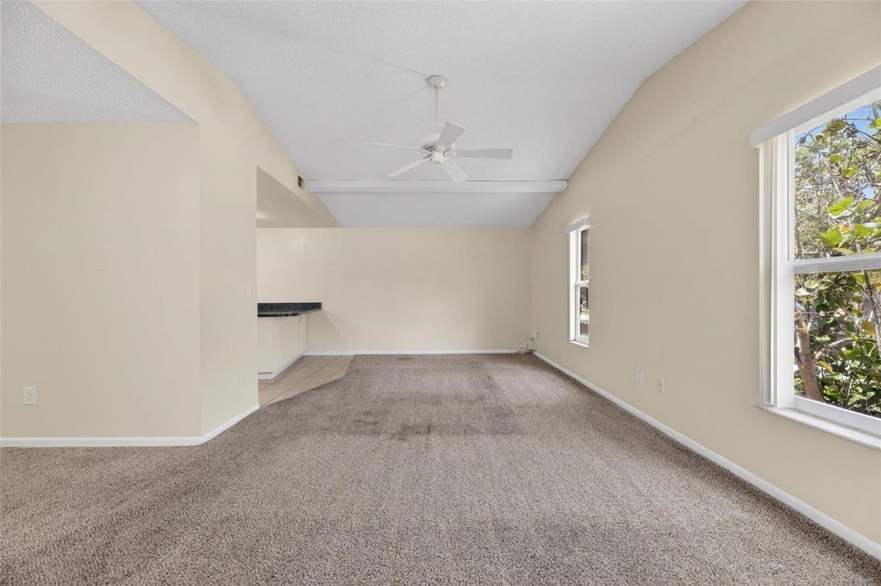 5001 Whiteway Drive , Tampa, FL 33617 Photo
