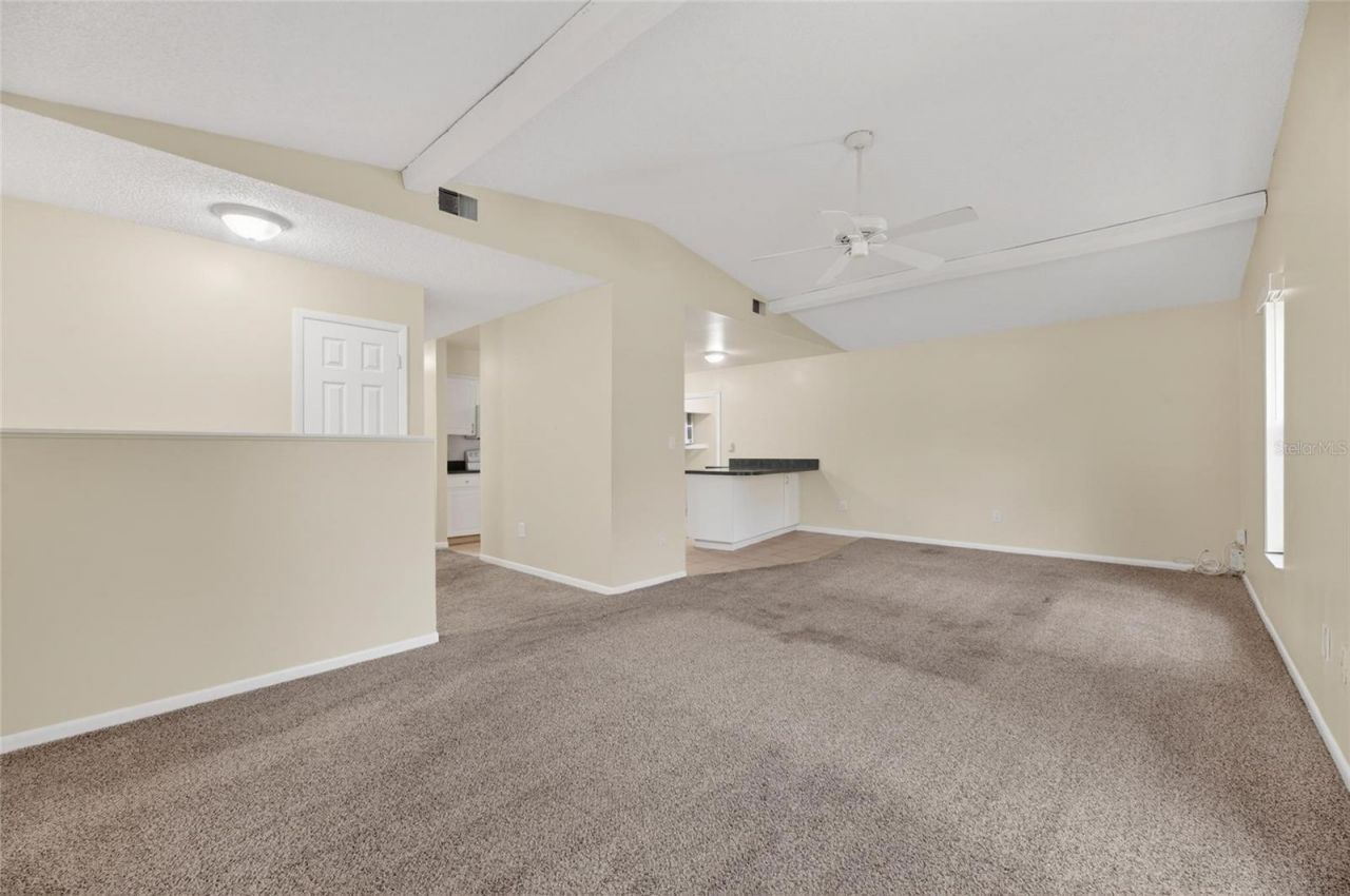 5001 Whiteway Drive , Tampa, FL 33617 Photo