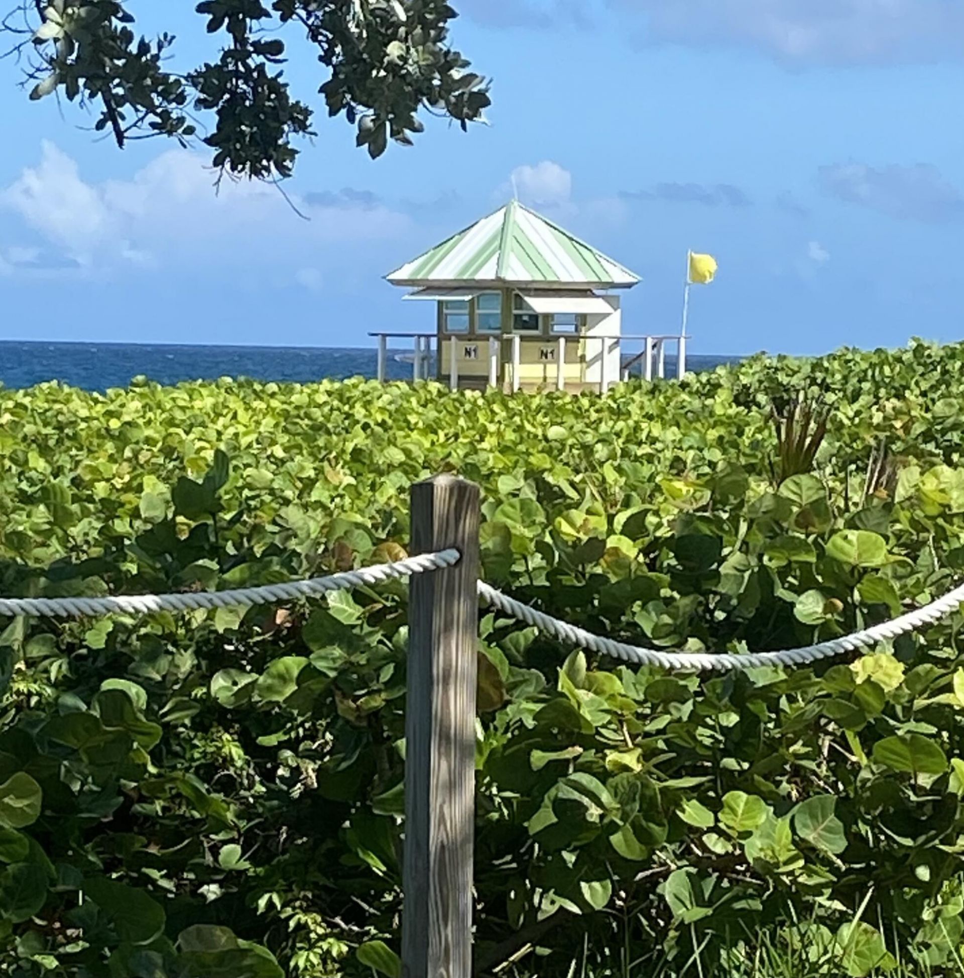 250 NE 3rd Avenue, Unit 1515, Delray Beach, FL 33444 Photo