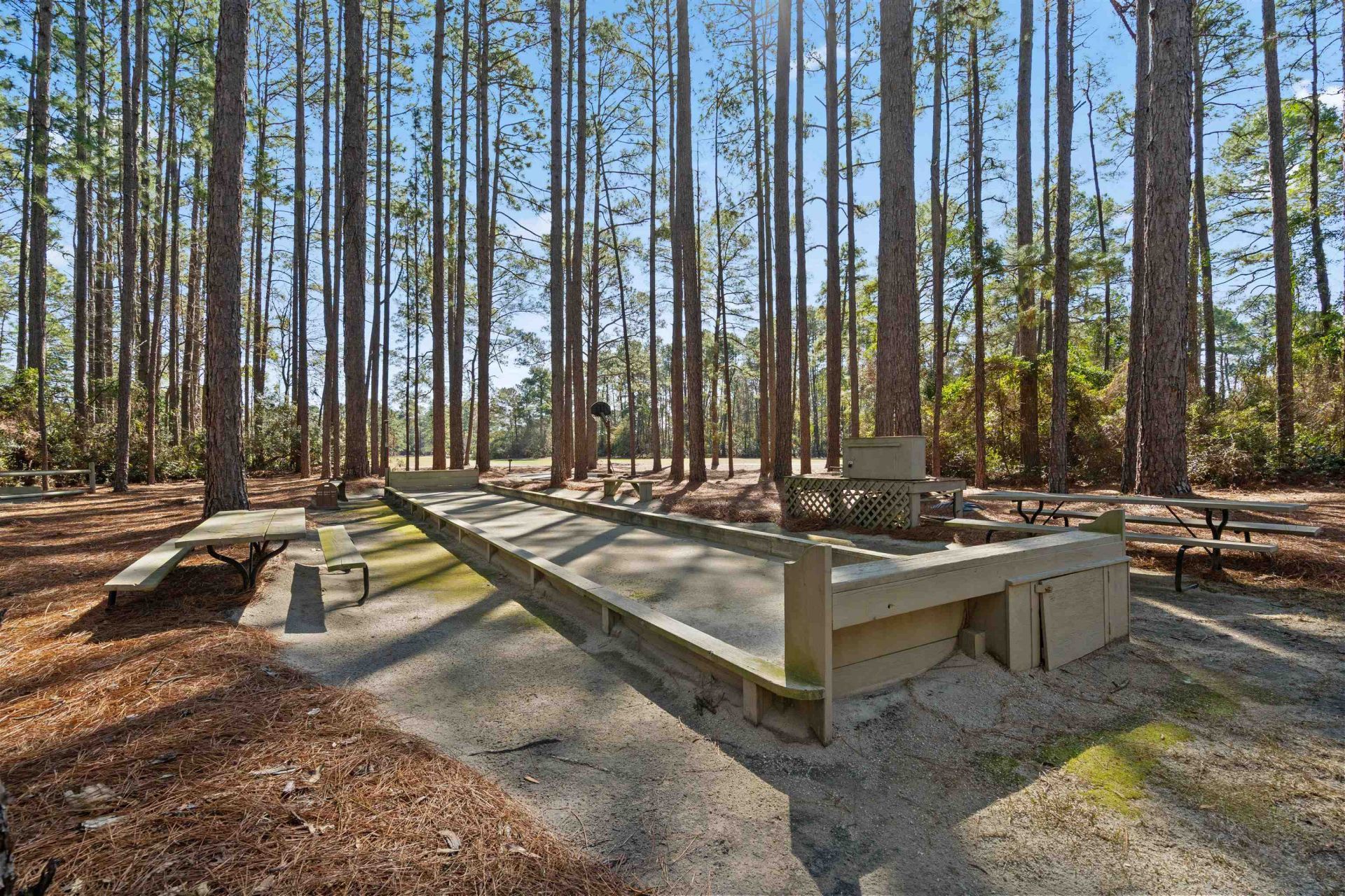 1204 Loblolly Ln. Photo 30