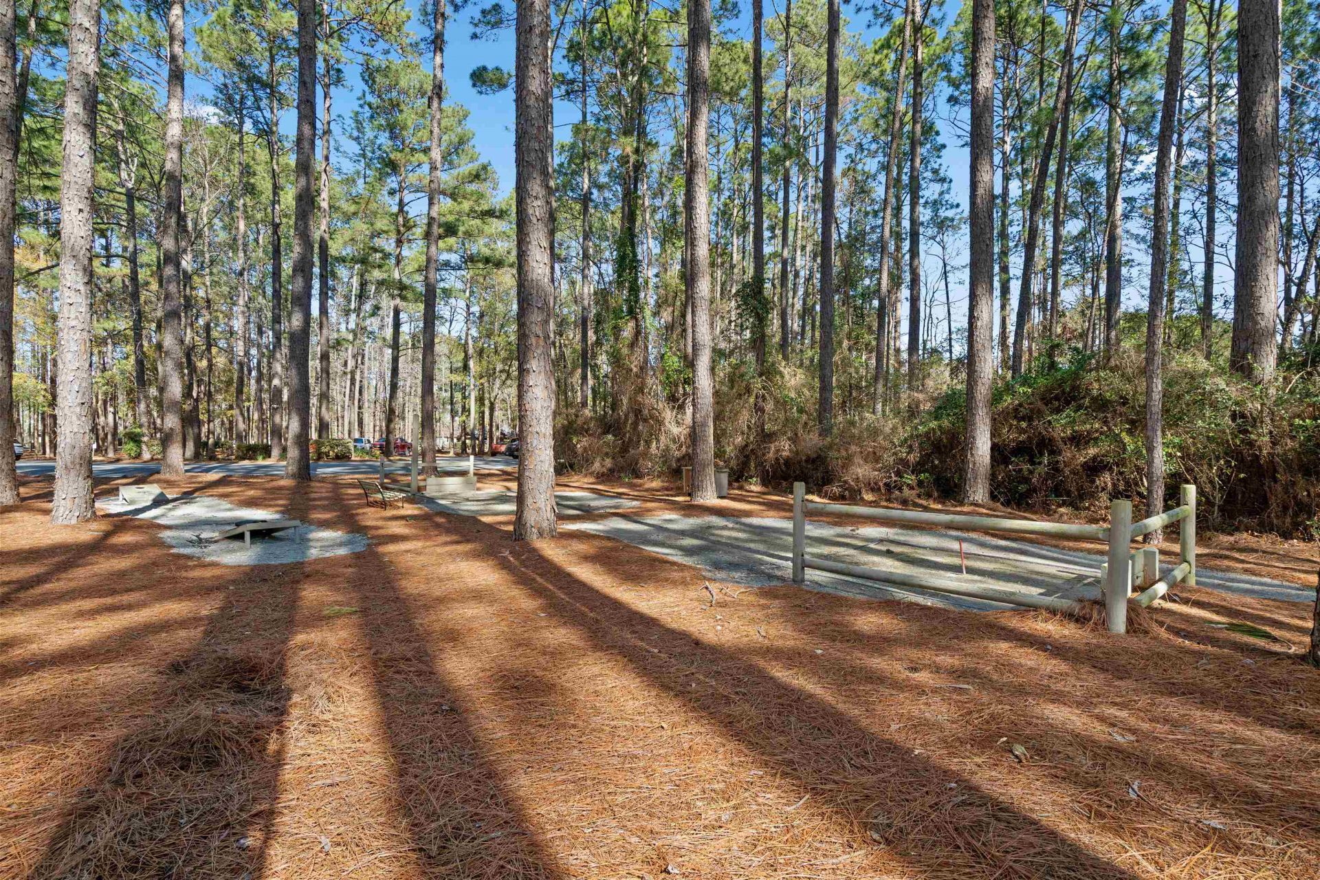 1204 Loblolly Ln. Photo 31