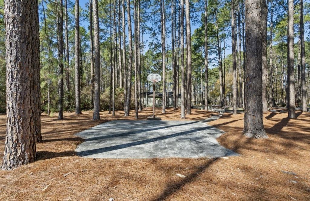 1204 Loblolly Ln. Photo 32
