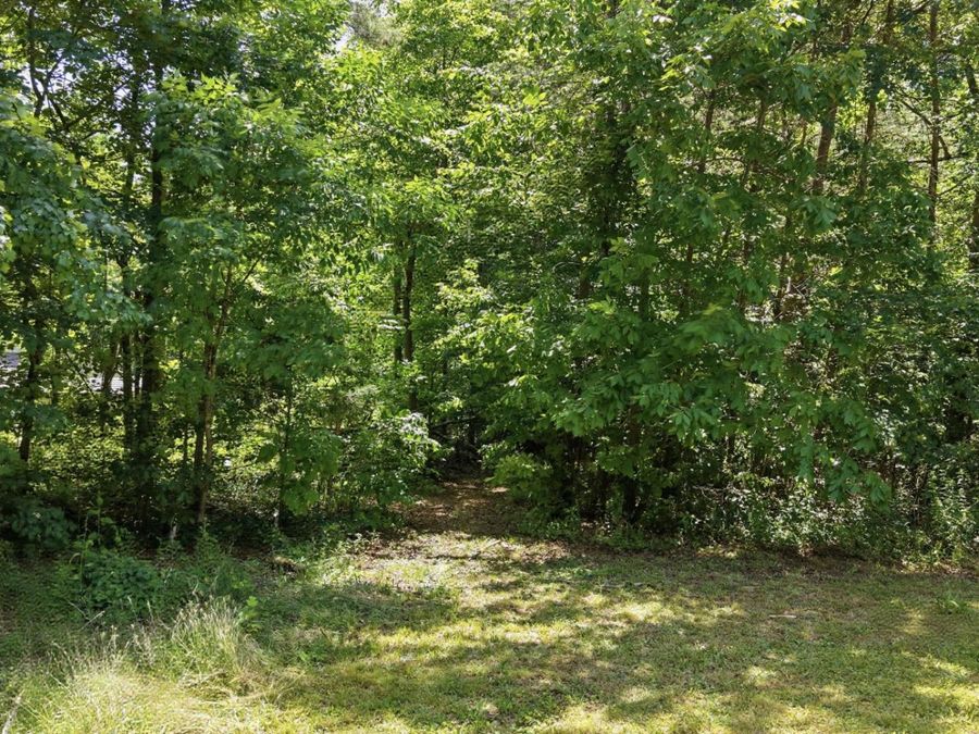 Property Image 53