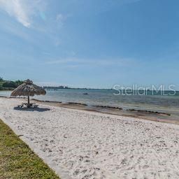 3595 41st Lane S, Unit D, Saint Petersburg, FL 33711 Photo