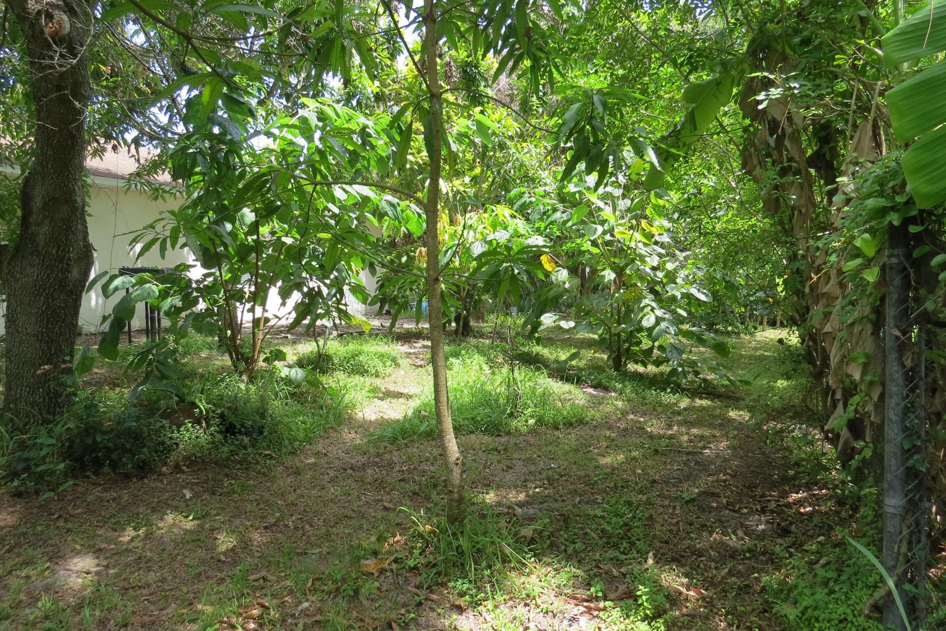 2282 SW Savona Boulevard, Port Saint Lucie, FL 34953 Photo