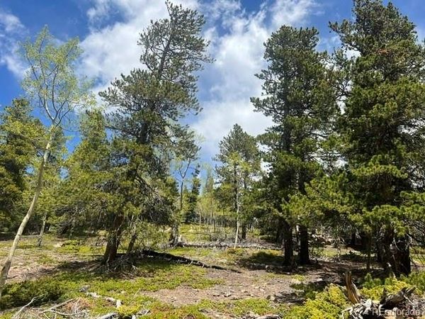 001 Sunny Skies Trail , Idaho Springs, CO 80452