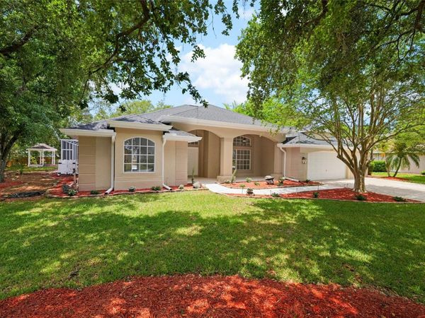 3519 SANDBURG LOOP , PLANT CITY, FL 33566