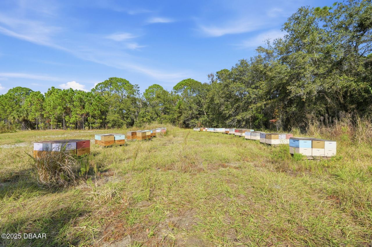 270 Wright Grove Road, Oak Hill, FL 32759 Photo