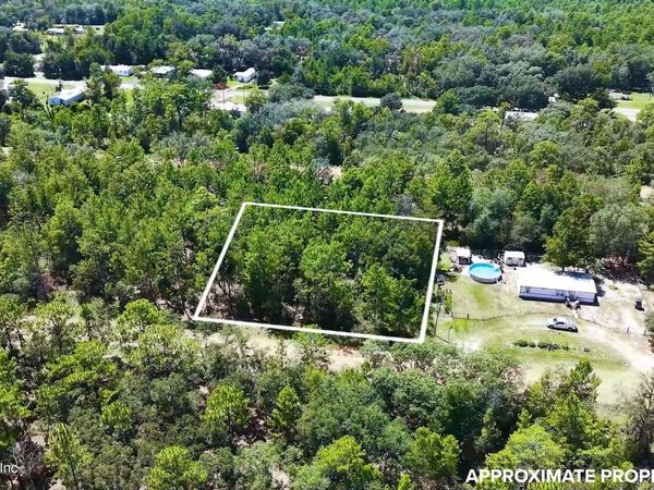27 NEISMAN AVENUE LOT 27, Interlachen, FL 32148