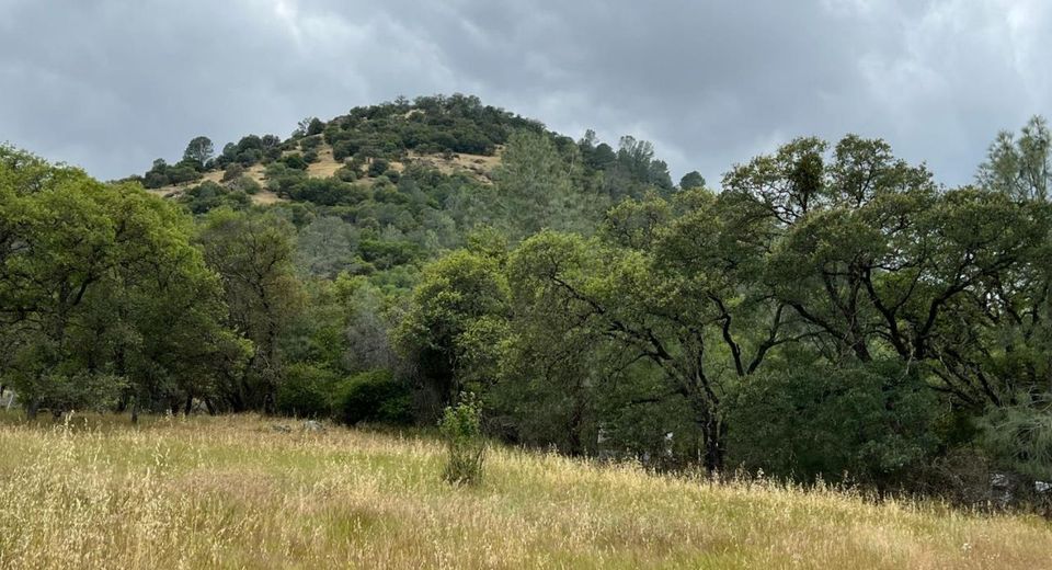 10840 Pool Station Rd, Angels Camp, CA 95222 Photo