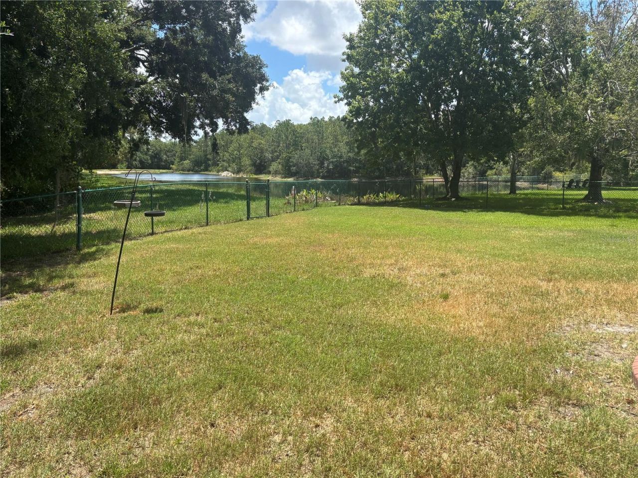 14618 Fetterbush Way, Tampa, FL 33626 Photo
