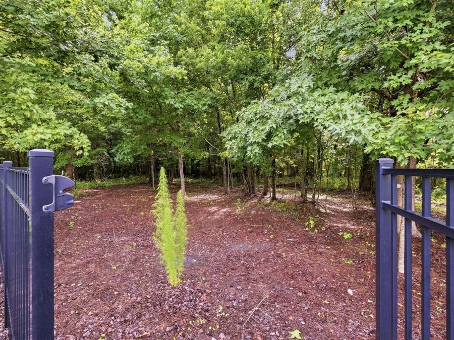 Property Image 68