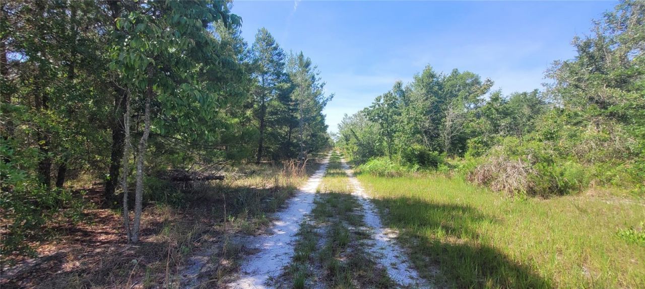 Union Way , Lee, FL 32059 Photo