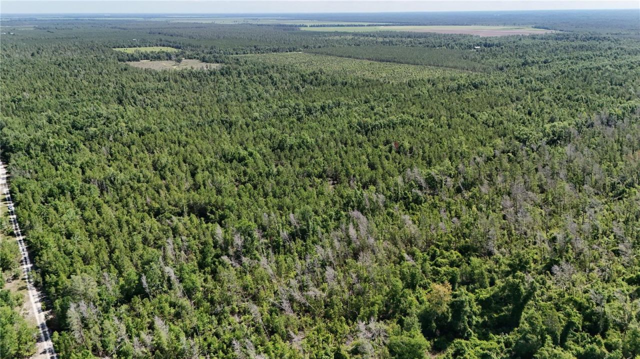 Union Way , Lee, FL 32059 Photo