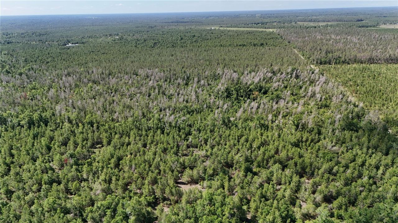 Union Way , Lee, FL 32059 Photo