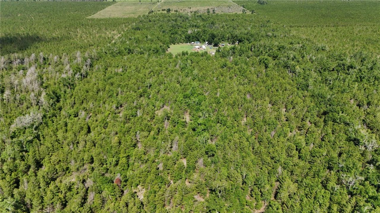 Union Way , Lee, FL 32059 Photo