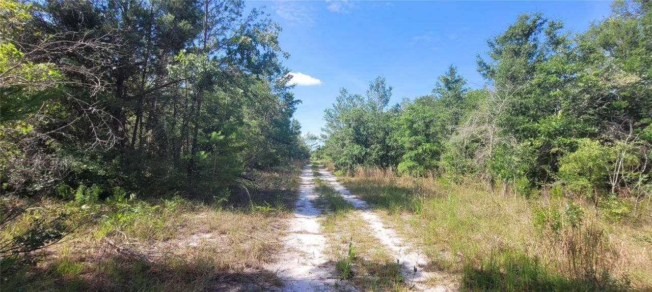 Union Way , Lee, FL 32059 Photo