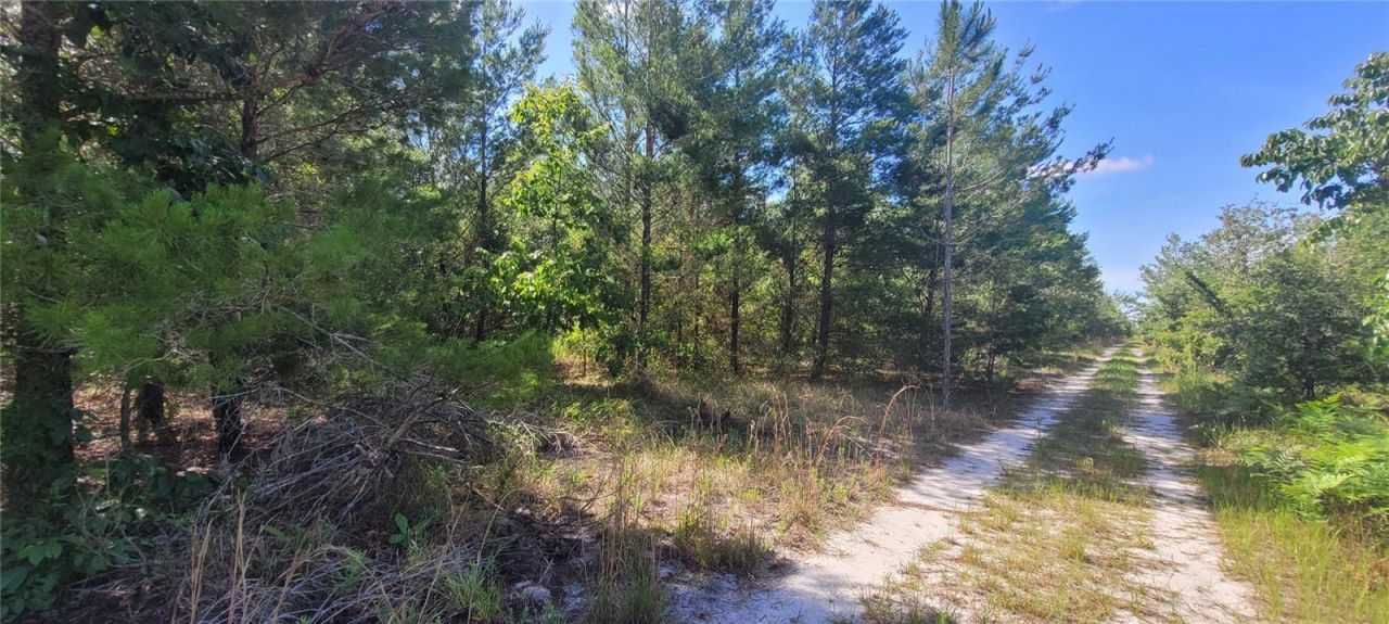 Union Way , Lee, FL 32059 Photo